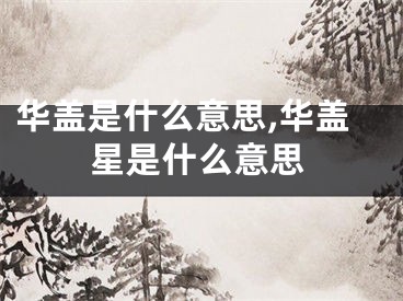 华盖是什么意思,华盖星是什么意思