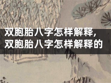 双胞胎八字怎样解释,双胞胎八字怎样解释的