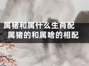 属猪和属什么生肖配 属猪的和属啥的相配