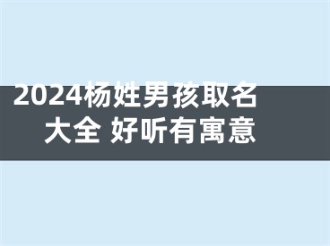 2024杨姓男孩取名大全 好听有寓意