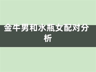 金牛男和水瓶女配对分析