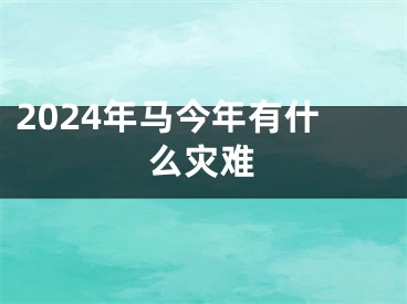 2024年马今年有什么灾难