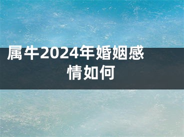属牛2024年婚姻感情如何