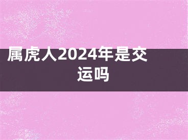 属虎人2024年是交运吗