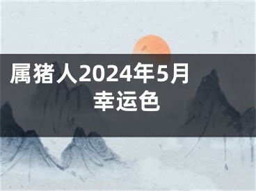 属猪人2024年5月幸运色