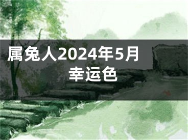 属兔人2024年5月幸运色