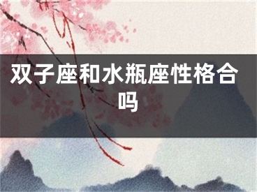 双子座和水瓶座性格合吗