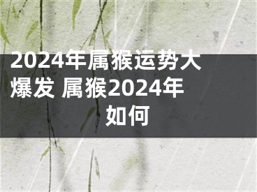 2024年属猴运势大爆发 属猴2024年如何