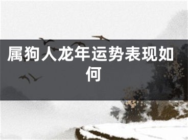属狗人龙年运势表现如何