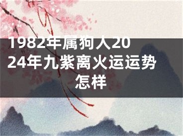 1982年属狗人2024年九紫离火运运势怎样