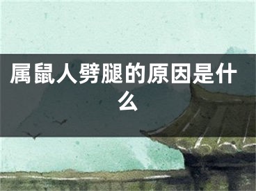属鼠人劈腿的原因是什么