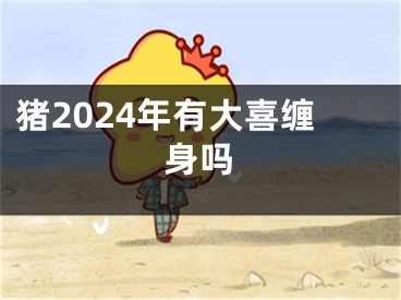 猪2024年有大喜缠身吗