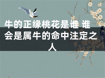 牛的正缘桃花是谁 谁会是属牛的命中注定之人