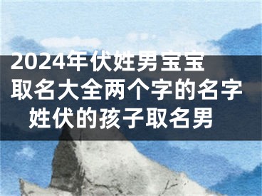 2024年伏姓男宝宝取名大全两个字的名字 姓伏的孩子取名男