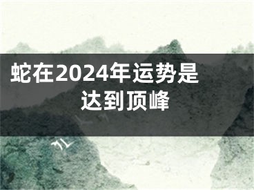 蛇在2024年运势是达到顶峰