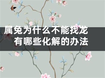 属兔为什么不能找龙 有哪些化解的办法