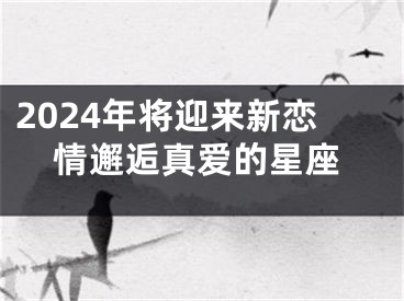2024年将迎来新恋情邂逅真爱的星座