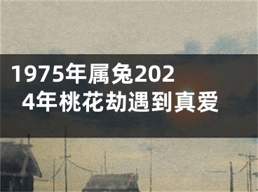 1975年属兔2024年桃花劫遇到真爱