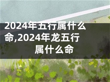 2024年五行属什么命,2024年龙五行属什么命