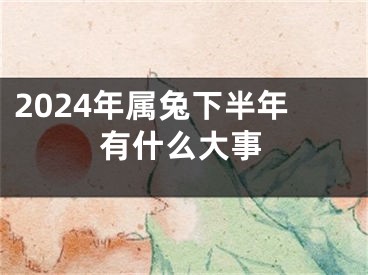 2024年属兔下半年有什么大事