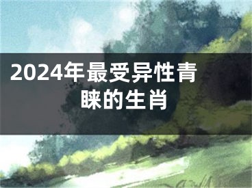 2024年最受异性青睐的生肖