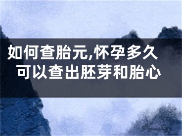 如何查胎元,怀孕多久可以查出胚芽和胎心