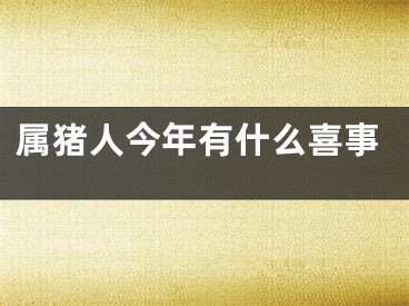属猪人今年有什么喜事