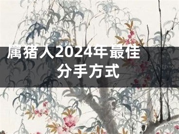 属猪人2024年最佳分手方式
