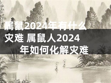 属鼠2024年有什么灾难 属鼠人2024年如何化解灾难