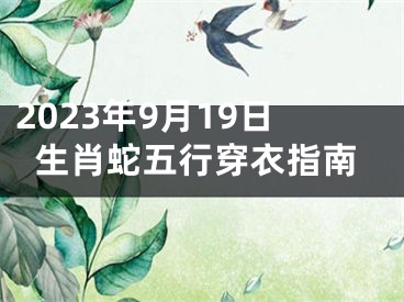 2023年9月19日生肖蛇五行穿衣指南