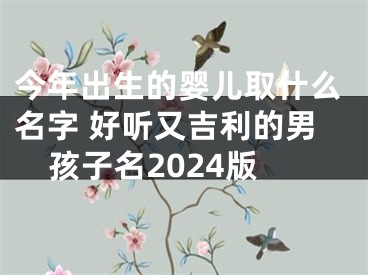 今年出生的婴儿取什么名字 好听又吉利的男孩子名2024版
