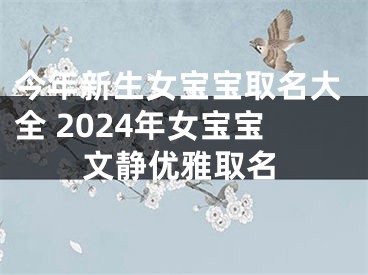 今年新生女宝宝取名大全 2024年女宝宝文静优雅取名