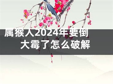 属猴人2024年要倒大霉了怎么破解
