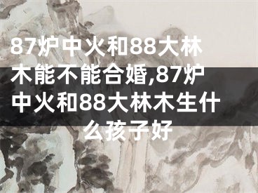 87炉中火和88大林木能不能合婚,87炉中火和88大林木生什么孩子好