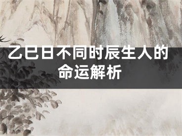 乙巳日不同时辰生人的命运解析