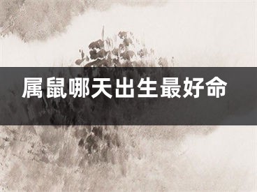 属鼠哪天出生最好命