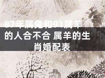 87年属兔和91属羊的人合不合 属羊的生肖婚配表