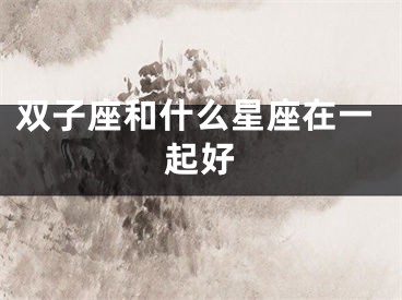 双子座和什么星座在一起好