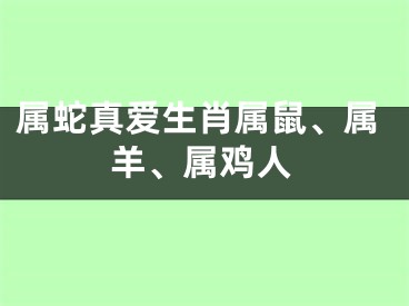 属蛇真爱生肖属鼠、属羊、属鸡人