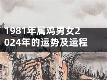 1981年属鸡男女2024年的运势及运程