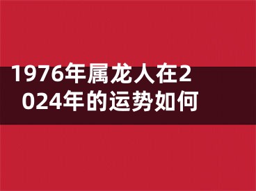 1976年属龙人在2024年的运势如何