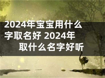 2024年宝宝用什么字取名好 2024年取什么名字好听