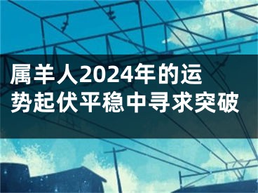 属羊人2024年的运势起伏平稳中寻求突破