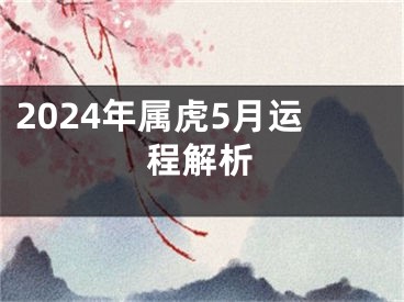 2024年属虎5月运程解析