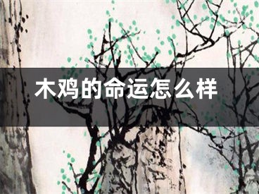 木鸡的命运怎么样