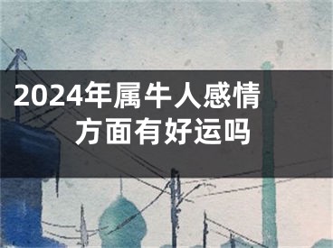 2024年属牛人感情方面有好运吗