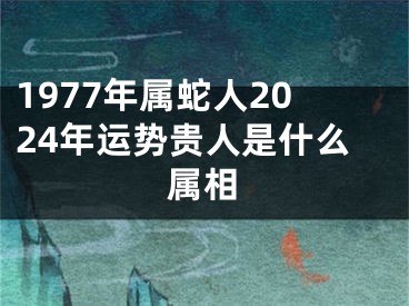 1977年属蛇人2024年运势贵人是什么属相