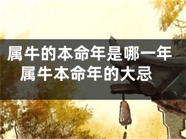 属牛的本命年是哪一年 属牛本命年的大忌