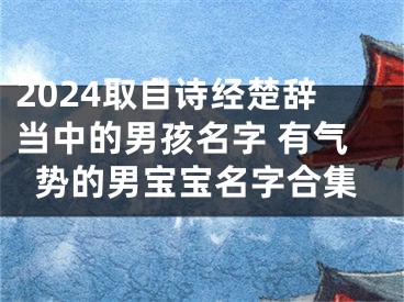2024取自诗经楚辞当中的男孩名字 有气势的男宝宝名字合集