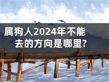 属狗人2024年不能去的方向是哪里?